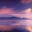 101_2022-02-16.gif